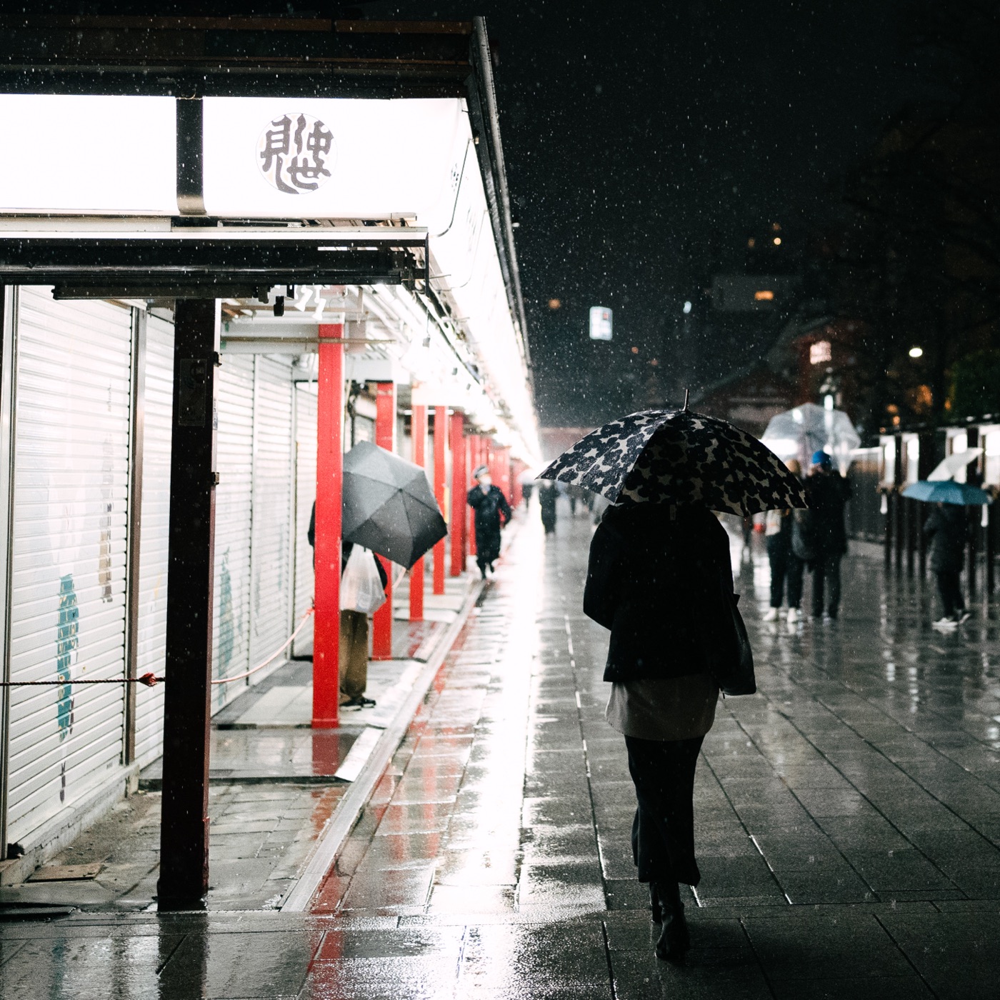 Asakusa, in the rain